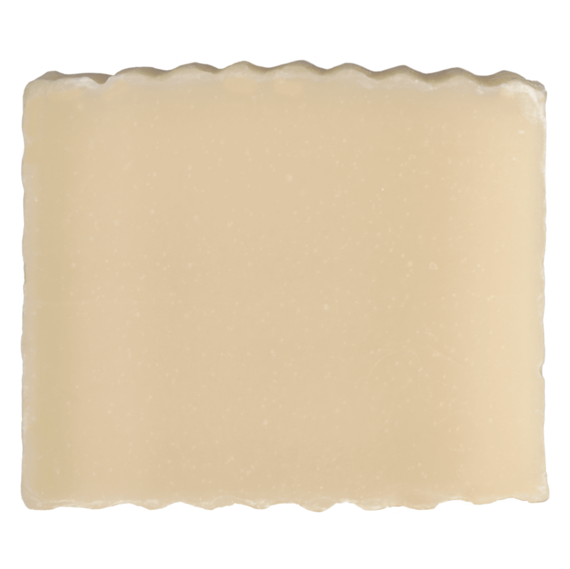 In the Woods - Outdoorsy Fresh Earthy Eco Soap - Blue Heron Soap Co