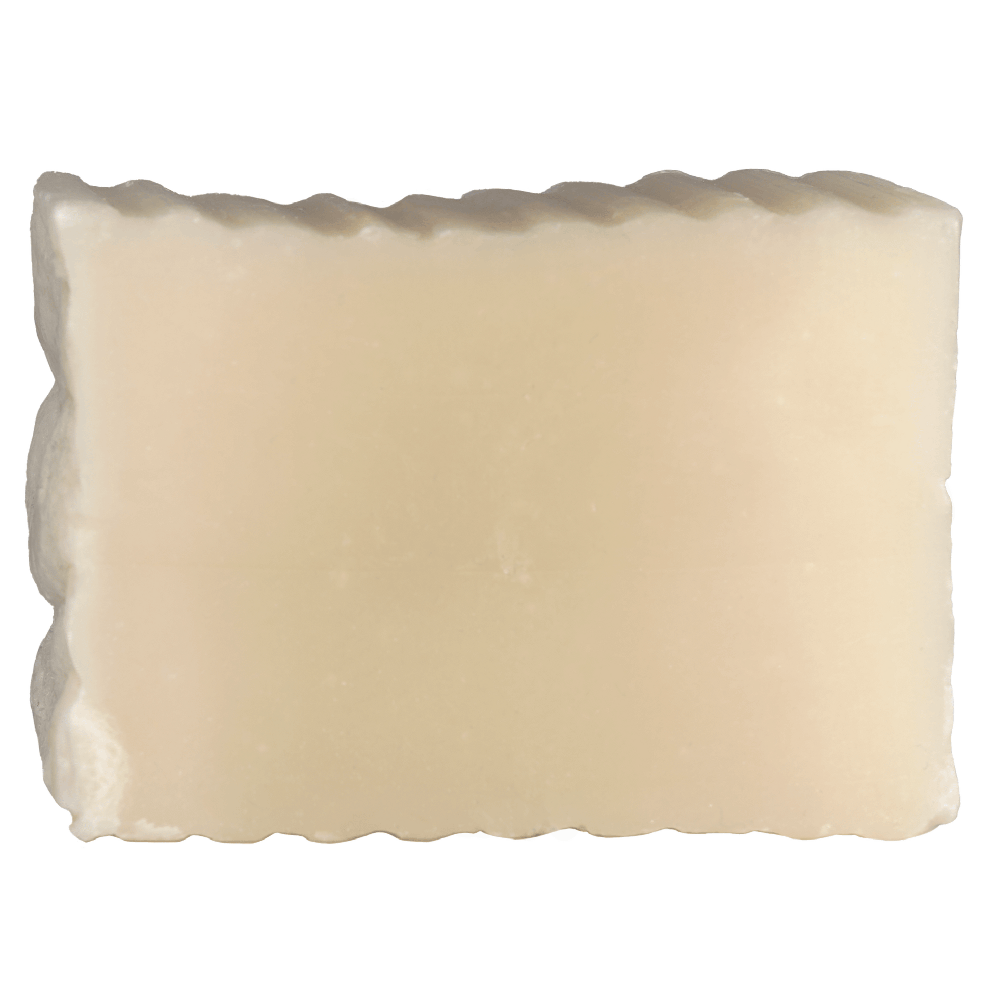 Tea Tree - Fortifying Potent Healing Eco Soap - Blue Heron Soap Co