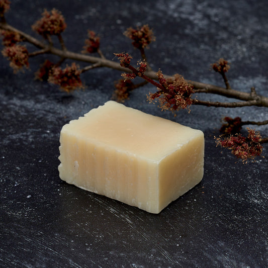 Colorado Breeze - Warm Aromatic Pine Eco Soap - Blue Heron Soap Co