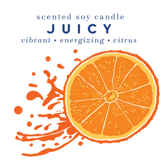 Juicy Travel Candle (formerly known as Swish) - Blue Heron Soap Co