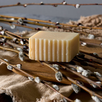 In the Woods - Outdoorsy Fresh Earthy Eco Soap - Blue Heron Soap Co