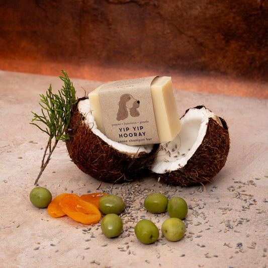 Yip Yip Hooray Canine Shampoo Bar